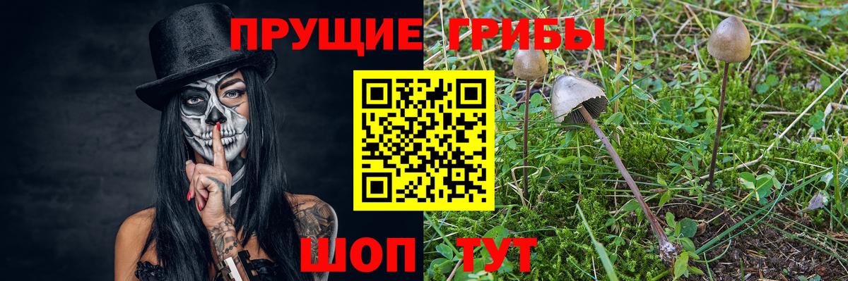 Псилоцибиновые грибы GOLDEN TEACHER Балабаново
