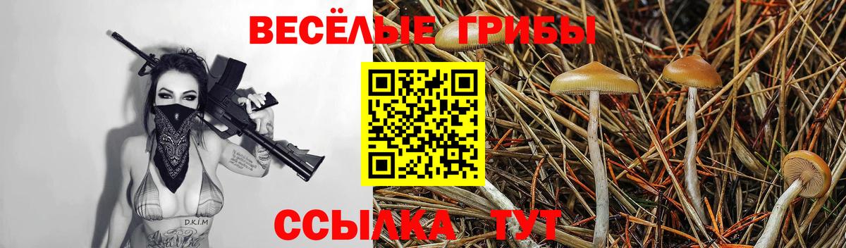 Галлюциногенные грибы Cubensis  Вход с VPN  Галлюциногенные грибы Psilocybine cubensis  Балабаново 